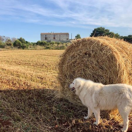Agriturismo La Palascia Masseria Agreste オートラント エクステリア 写真