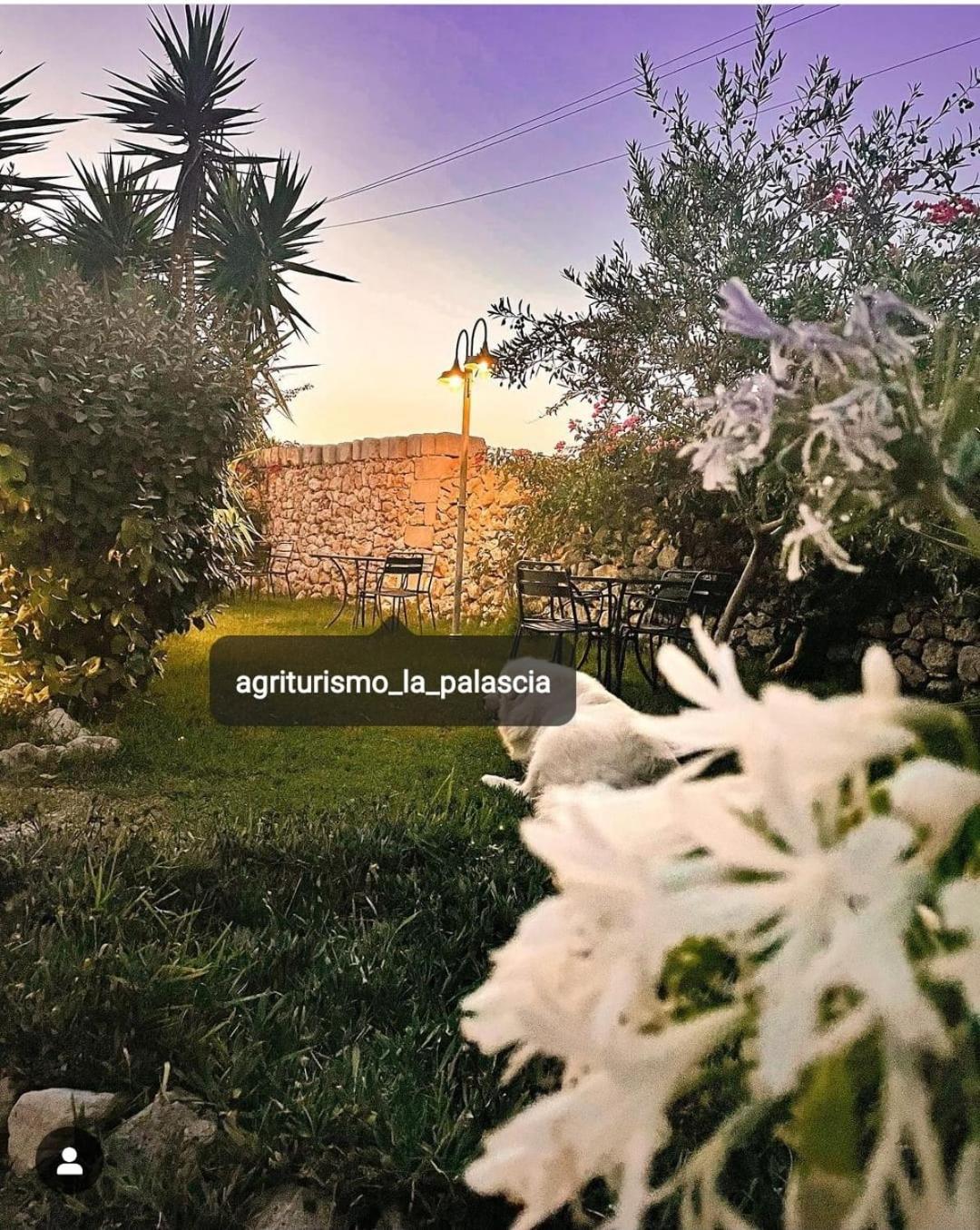 Agriturismo La Palascia Masseria Agreste オートラント エクステリア 写真