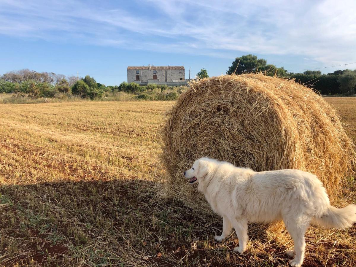 Agriturismo La Palascia Masseria Agreste オートラント エクステリア 写真