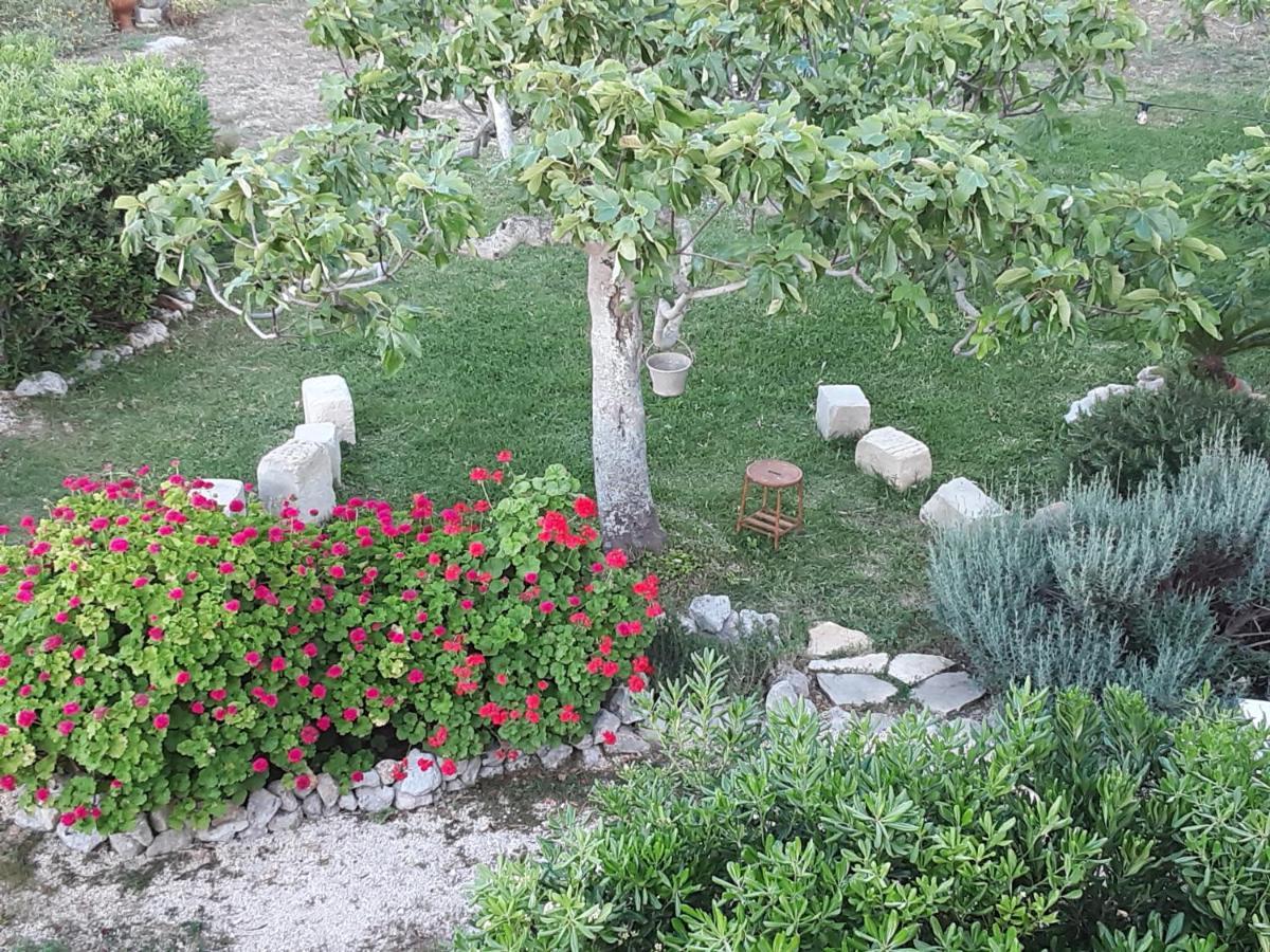 Agriturismo La Palascia Masseria Agreste オートラント エクステリア 写真